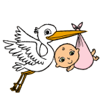 cicogna rosa