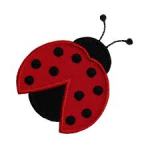 coccinella