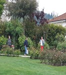 WhatsApp Image 2019-05-11 at&nbsp;18.35.54